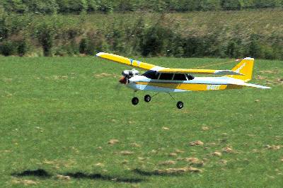 Thunder Tiger 40 Trainer